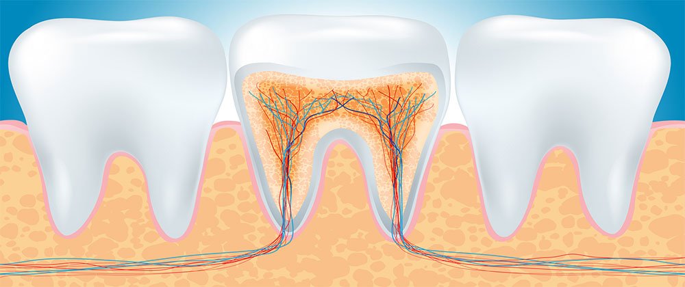 آیا دندان شیری کودکان نیاز به عصب کشی دارد