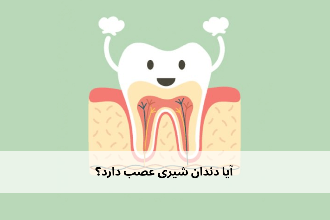 دندان شیری عصب دارد